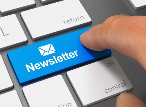 Beiratsnewsletter 3/2025 verfügbar